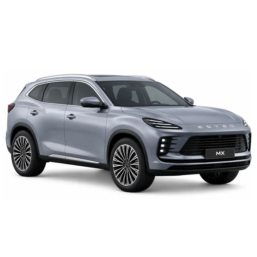 Масло для Esteo MX (2026 - 2026)