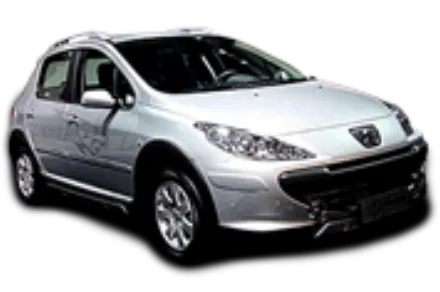 Peugeot 307 Cross 1.6 (2011-н.в.) - масло TOM'S