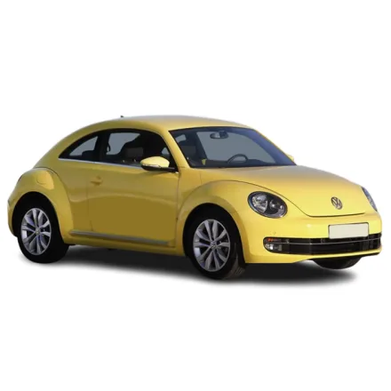 Beetle