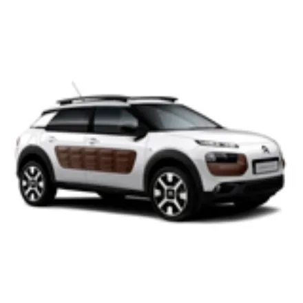 C4 Cactus