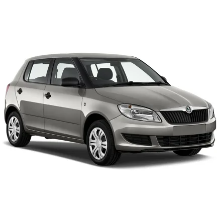 Skoda Fabia II 1.2 6V (2007-2015) - масло TOM'S