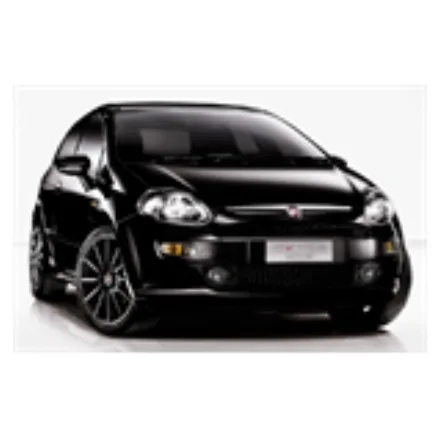 Punto Evo