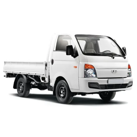 H100 / Porter