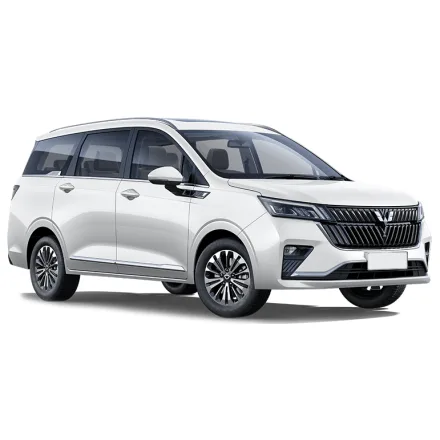 Масло для Wuling Jiachen (2022 - 2026)