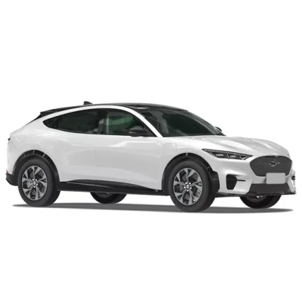 Ford Changan Mustang Mach-E (2019-н.в.) - масло TOM'S