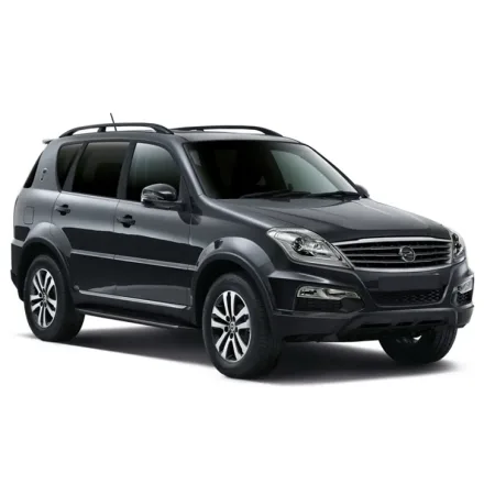 Масло для Ssangyong Rexton W (2012 - 2017)