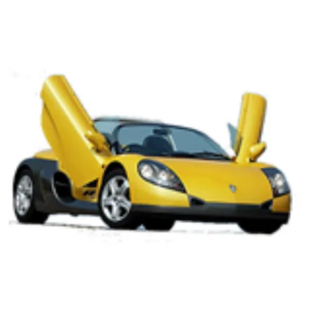 Sport Spider