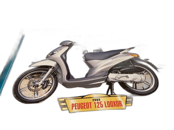 Масло для Peugeot Looxor (2000 - 2004)
